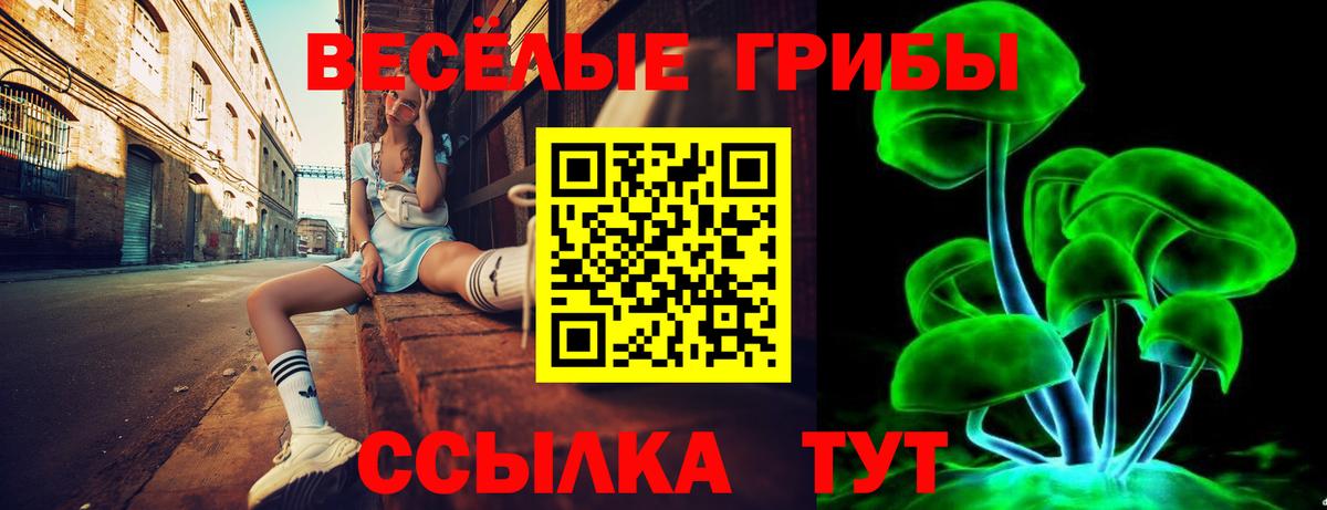 Псилоцибиновые грибы мицелий Щёлково